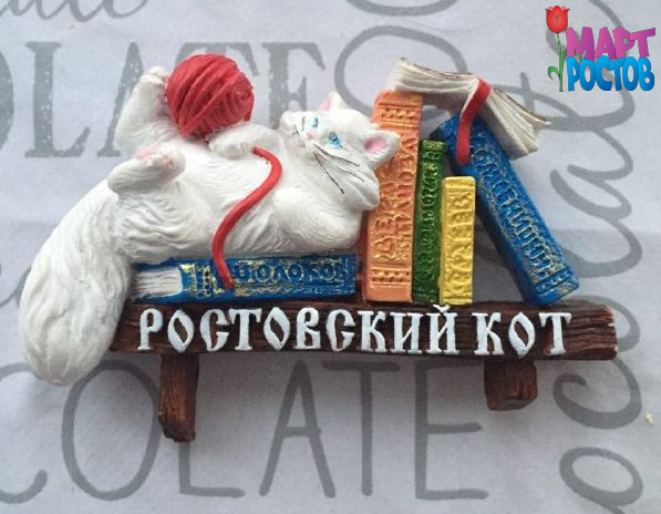 Магнит рельефный Котик с книгами ростовский
