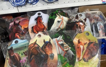 ����� ����������� ����