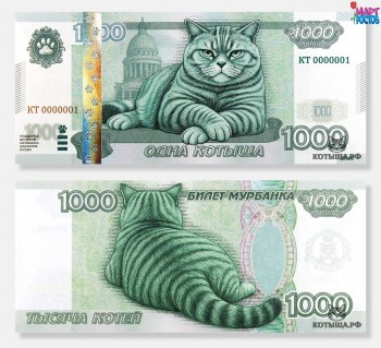 ������ ������